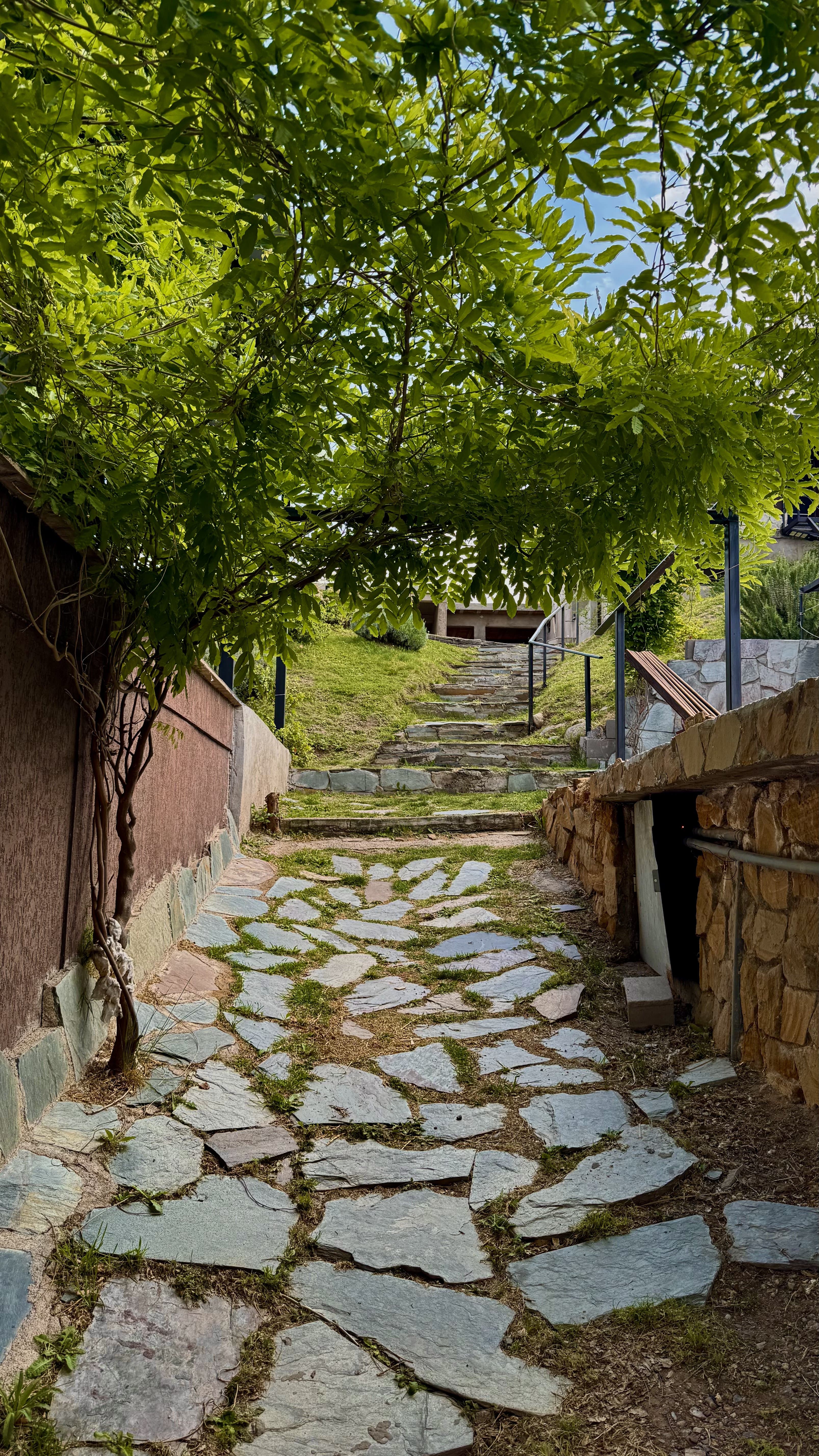 La Colina - Vistas del lago